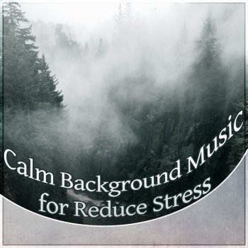 Anti Stress Music Zone Rain Sounds (Meditation)