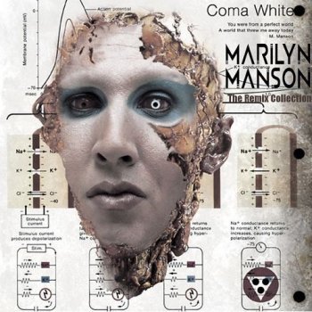 Marilyn Manson The Beautiful People (clean version)