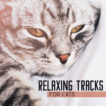 Pet Music Academy Relaxing Tracks for Cats