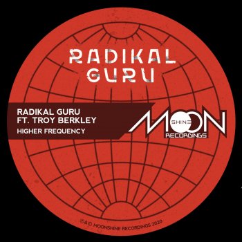 Radikal Guru feat. Troy Berkley Higher Frequency