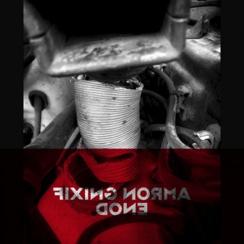 D'One Fixing Norma
