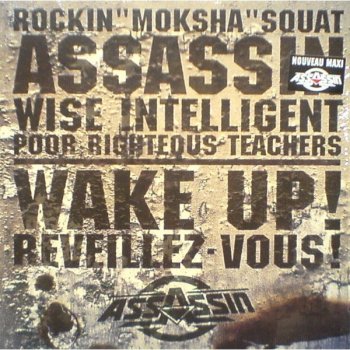 Assassin Wake Up (radio edit)