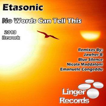 Etasonic No Words Can Tell This (Emanuele Congeddu's Emotional Touch)
