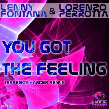 Lenny Fontana feat. Lorenzo Perrotta You Got the Feeling (Radio Edit)