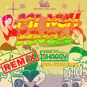 Shaggy feat. Chris Marshall Mi Nuh Know (Remix)