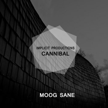 Moog Sane Cannibal - Original Mix