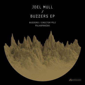Joel Mull Buzzers