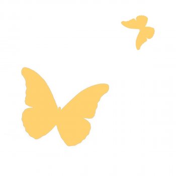 Aqua Yellow Butterfly