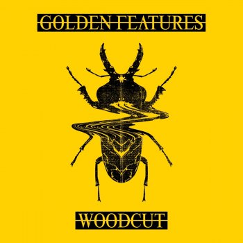 Golden Features feat. Rromarin Woodcut (feat. Rromarin)