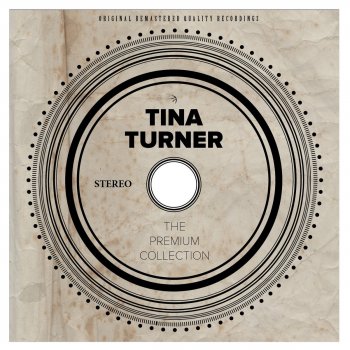 Tina Turner I Idolize You