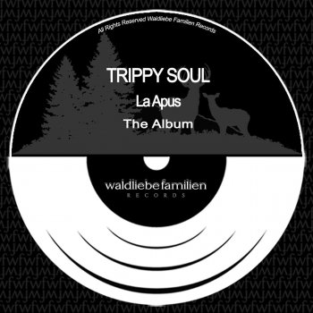Trippy Soul In Negura Timpului - Original Mix