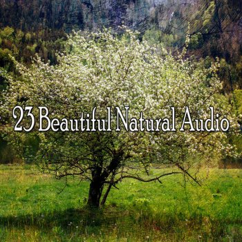 Sounds of Nature Noise Divine Harmony