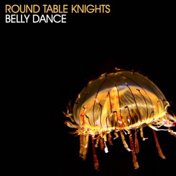 Round Table Knights On