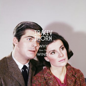 Tracey Thorn Why Does the Wind? (Michel Cleis Remix)