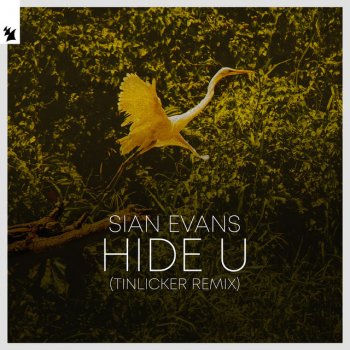 Sian Evans feat. Tinlicker Hide U - Tinlicker Remix