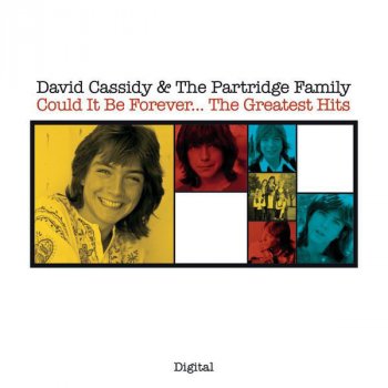 David Cassidy Could It Be Forever - remastered