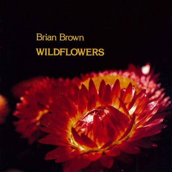 Brian Brown Wildflowers