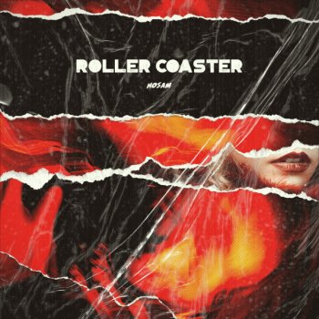 NOSAM Roller Coaster