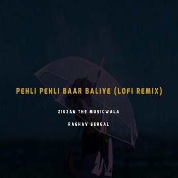 Zigzag The Musicwala feat. Raghav Sehgal Pehli Pehli Baar Baliye / Dil Ka Qaraar (feat. Raghav Sehgal)