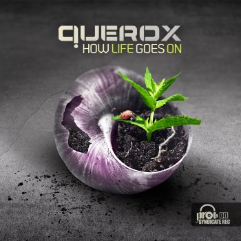 Querox Go Now (Original Mix)