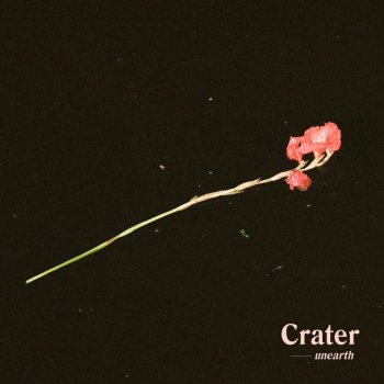 CRATER Brood