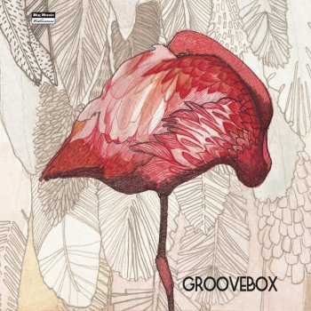 Groove Box Butterfly