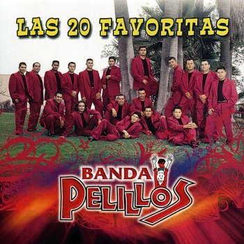 Banda Pelillos La Dueña del Swing