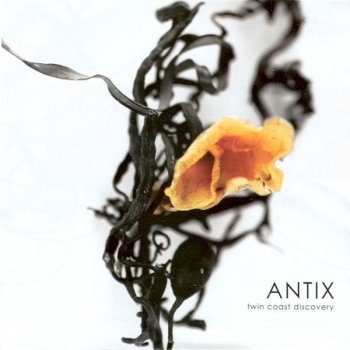 Antix Forever Changing