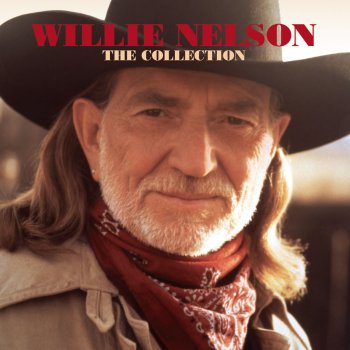 Willie Nelson Ain't Necessarily So