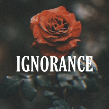 Slo Ignorance