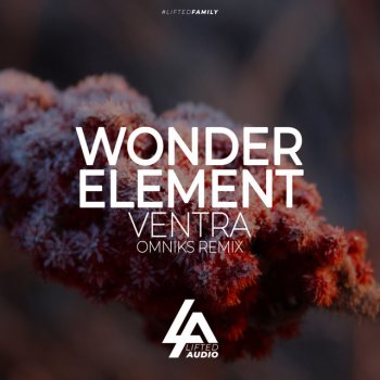 Wonder Element feat. Omniks Ventra - Omniks Radio Edit
