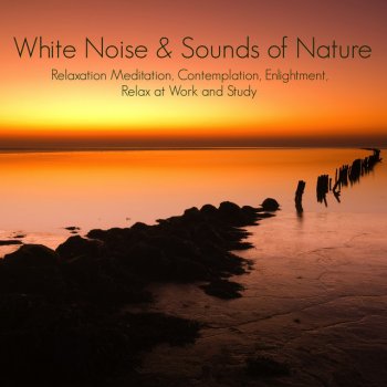 White Noise Therapy Ayurveda: Slow Waves (Ocean Music)