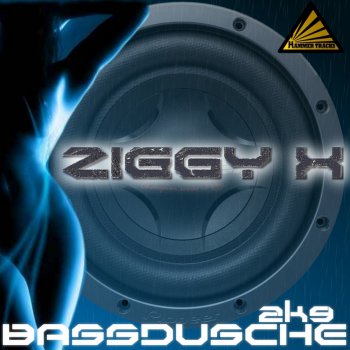Ziggy X Bassdusche 2K9 (Bangbros Remix Radio Cut)