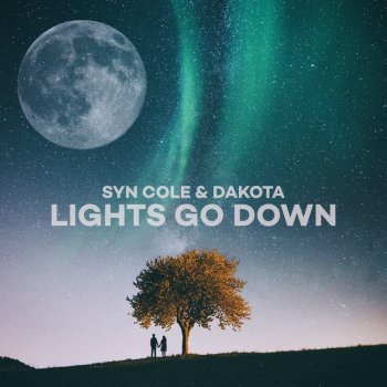 Syn Cole feat. Dakota Lights Go Down