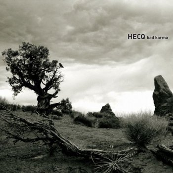 Hecq Untitled