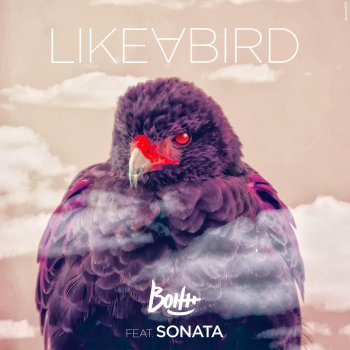 Bolth feat. Sonata Like a Bird