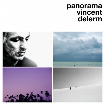 Vincent Delerm Panorama