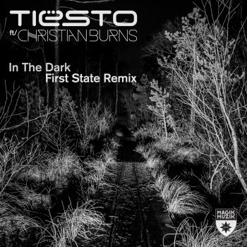 Tiësto feat. Christian Burns In the Dark (First State Remix)