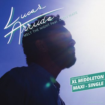 Lucas Arruda feat. Leon Ware Melt the Night (Original Album Version)