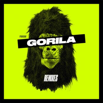 Poncho Gorila (Radio Edit)
