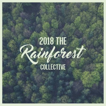 The Rainforest Collective Field Rain