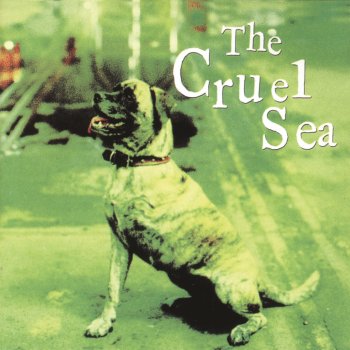 The Cruel Sea Strange Thing