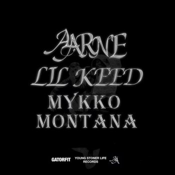 Aarne feat. Lil Keed & Mykko Montana Purge