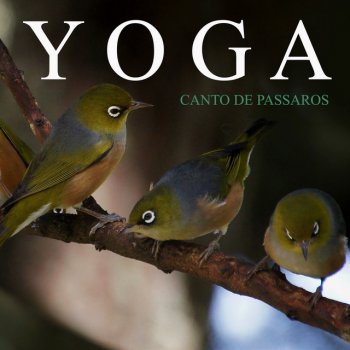 Meditação Yoga Yoga: Canto de Pássaros, Pt. 49
