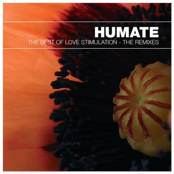 Humate Love Stimulation - Radio Slaves Panorama Garage Remix