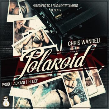 Chris Wandell Polaroid