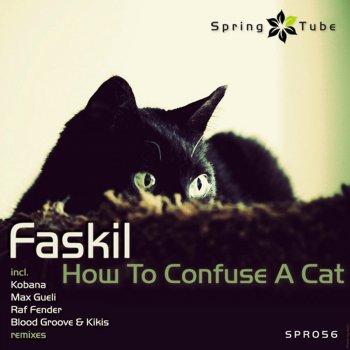 Faskil How To Confuse a Cat (Raf Fender Remix)