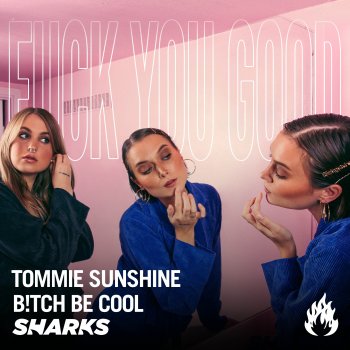 Tommie Sunshine feat. B!tch Be Cool & Sharks Fuck You Good