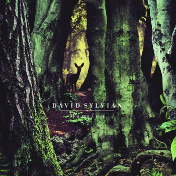 David Sylvian The Department Of Dead Letters