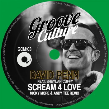 David Penn Scream 4 Love (feat. Sheylah Cuffy) [Micky More & Andy Tee Remix]